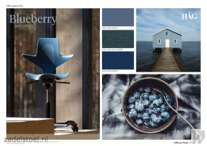 13_HAG_CapiscoPuls_BLUEBERRY_Moodboard